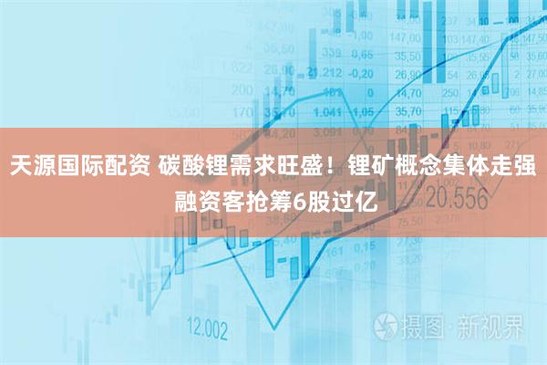 天源国际配资 碳酸锂需求旺盛！锂矿概念集体走强 融资客抢筹6股过亿