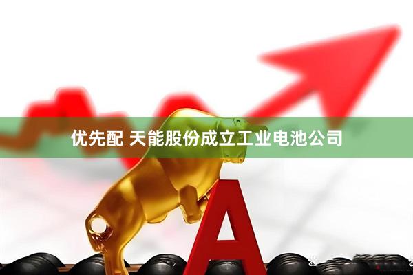 优先配 天能股份成立工业电池公司