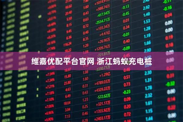 维嘉优配平台官网 浙江蚂蚁充电桩